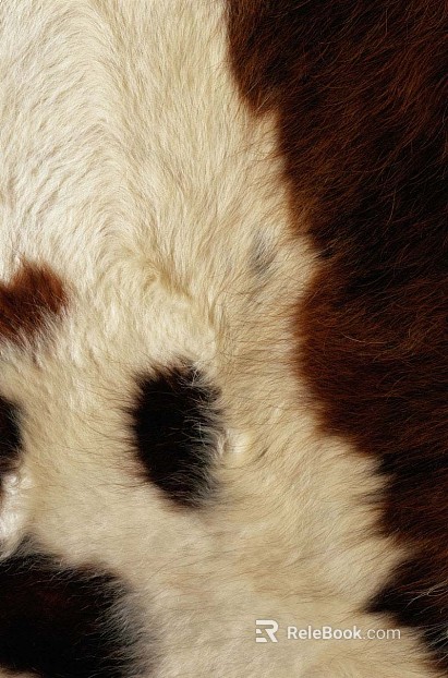 Animal Blanket Carpet texture