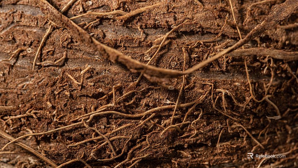 Root texture