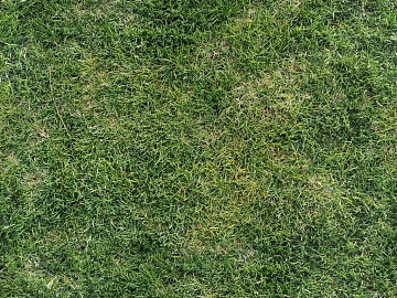 Turf texture (ID:ffaag78567)