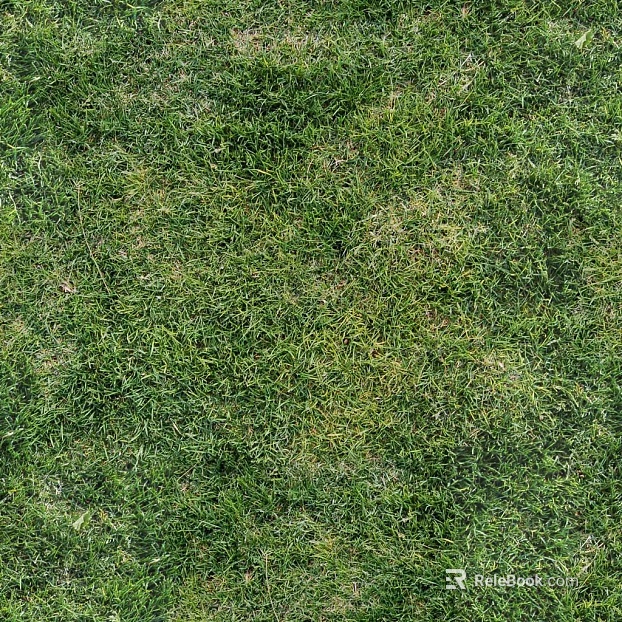 Turf texture