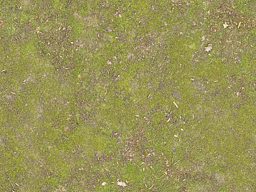 Turf texture (ID:ffach356554)