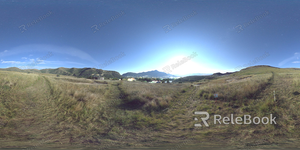 wild hdri texture