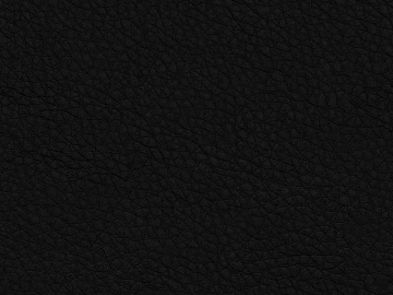 Coarse-grain leather 3d model
