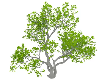 Plant painting texture (ID:ffajg53894)