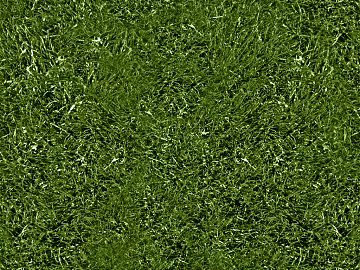 Turf 3d model