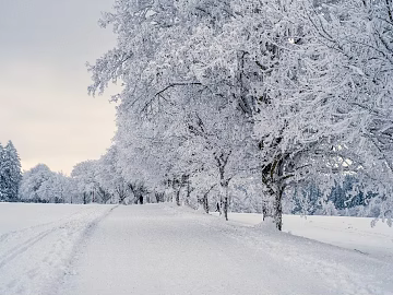 Snow texture (ID:ffacg33159)