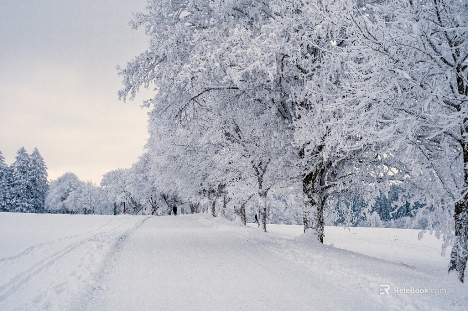 Snow texture