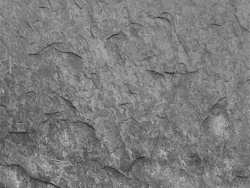 Black and White Bump texture (ID:ffaag65084)