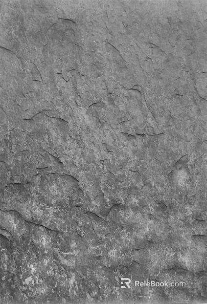 Black and White Bump texture