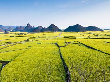 Pastoral scenery texture (ID:ffach863075)