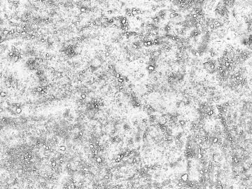 Cement floor texture (ID:ffaeg10259)