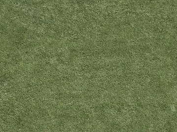 Grassland texture (ID:ffagg15613)
