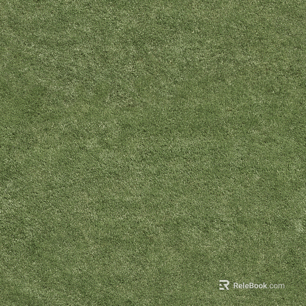 Grassland texture
