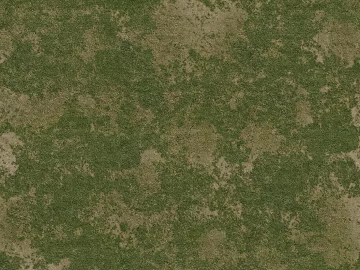 Turf texture (ID:ffadf9148)