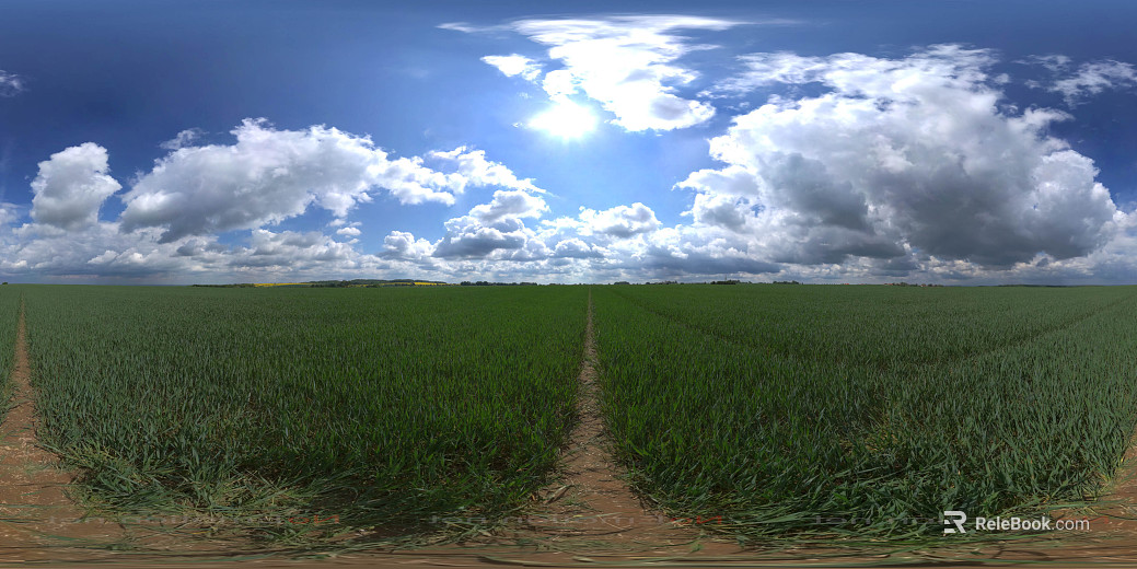 Field texture