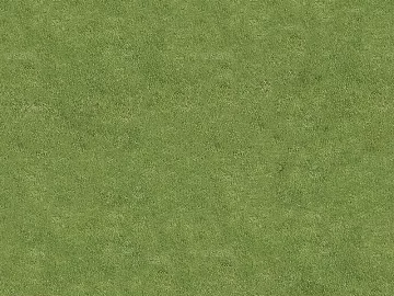 Turf texture (ID:ffacg11232)