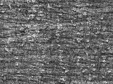 Black and White Bump texture (ID:ffacg66658)