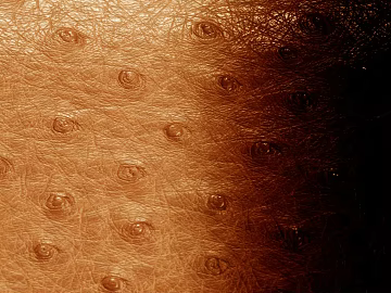 Coarse-grain leather texture (ID:ffagf7279)
