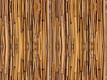 Bamboo texture (ID:ffaag62111)