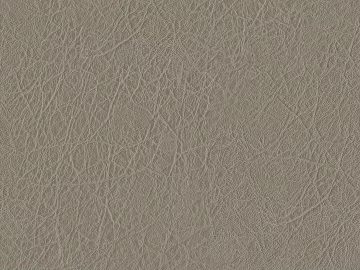 Coarse-grain leather texture (ID:ffaag94029)