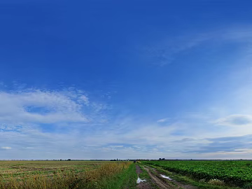 daytime sky texture (ID:ffaaf5247)