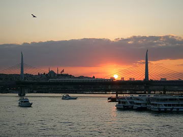 Outdoor Scenery texture (ID:ffajh085697)