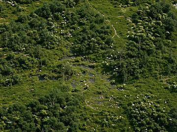 Modern outdoor bird's eye view landscape mountain forest texture (ID:ffach218583)