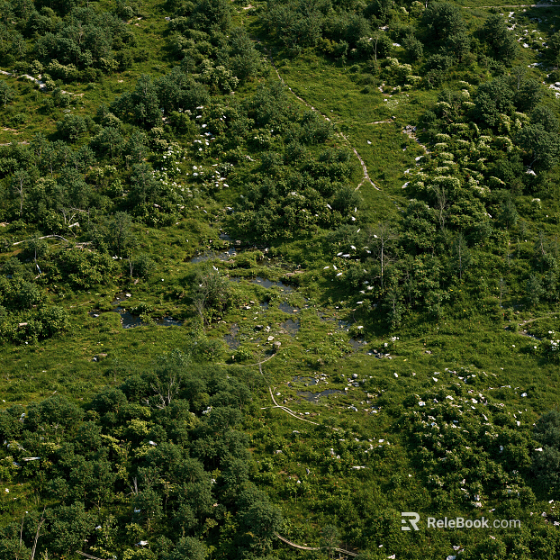 Modern outdoor bird's eye view landscape mountain forest texture