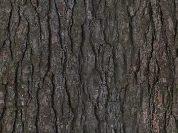 bark texture (ID:ffaeg74319)