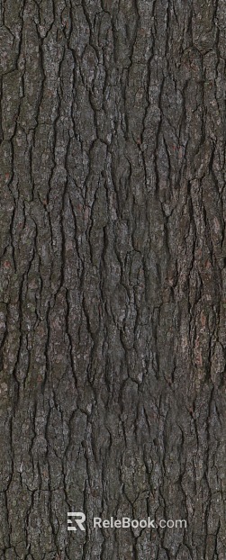 bark texture