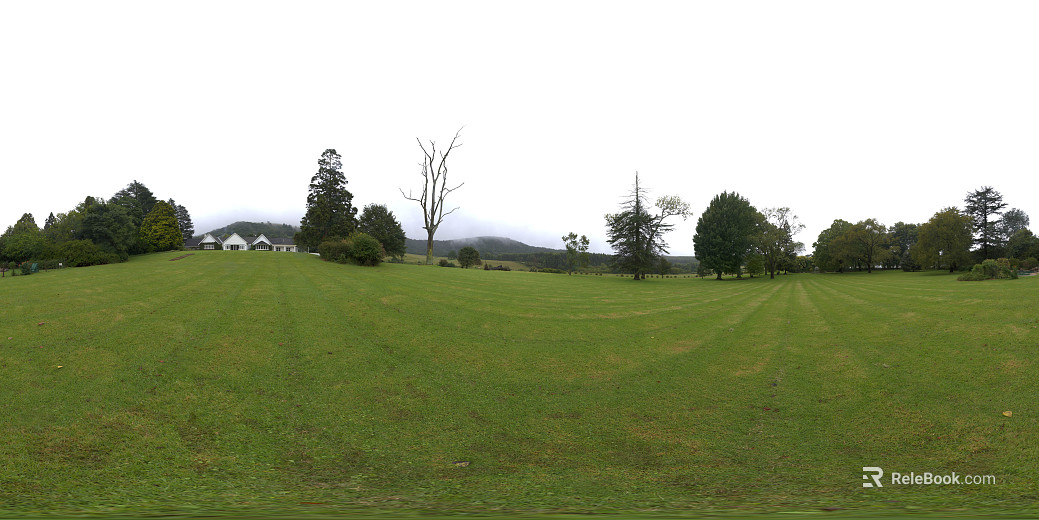 cloudy leisure park lawn forest HDR texture