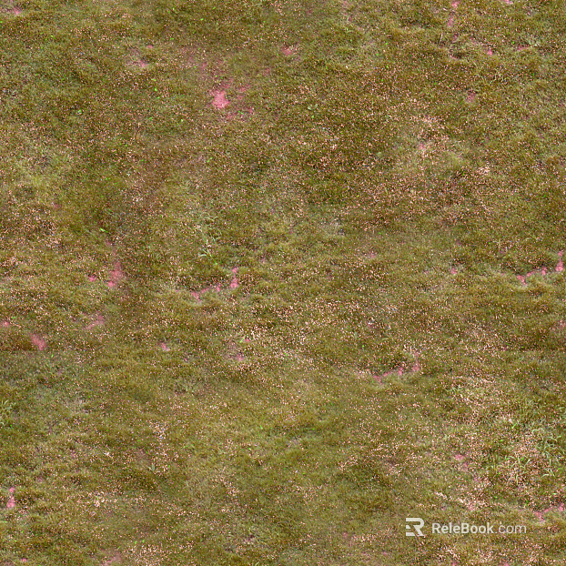 grass grass grass grass grass grass grass grass grass grass grass grass grass grass grass grass grass grass grass grass texture