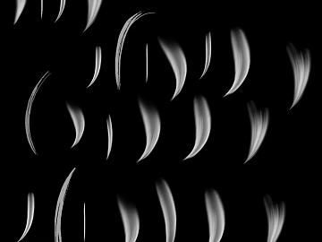 Black and white brush graphic design material texture (ID:ffaeh619276)