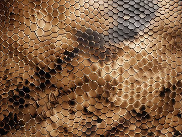 Leather Skin Snake Snake Snake Textured Snake Leather texture (ID:ffach572565)