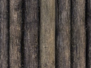 Trunk texture (ID:ffajg54437)