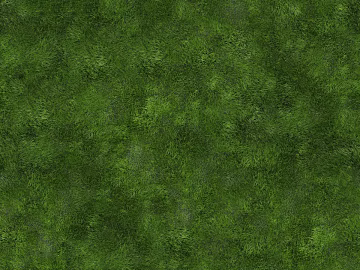 Realistic textured grassland, grassy slope, and green space—texture and grain. (ID:ffaeh428682)