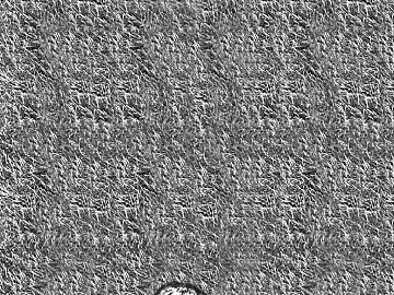 Black and White Bump texture (ID:ffacg22624)