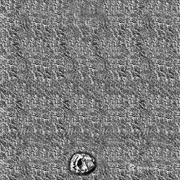 Black and White Bump texture