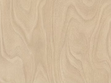 Wood grain birch wood grain paint figure texture (ID:ffacg33900)