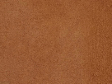 fine grain leather texture (ID:ffaag21089)