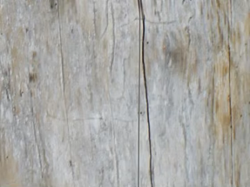 Wood grain texture (ID:ffaif3767)