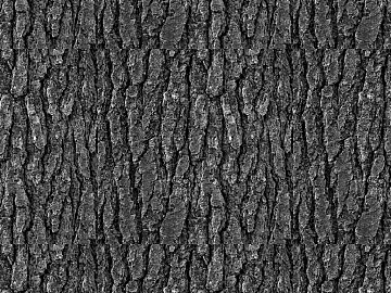 Black and White Bump texture (ID:ffaag77340)