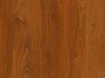Old Wood Map 3d model
