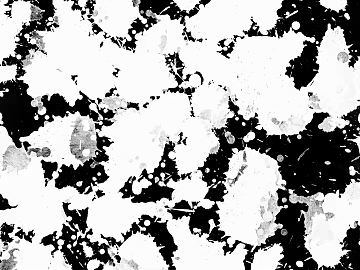 Black and White Splash texture (ID:ffach731361)