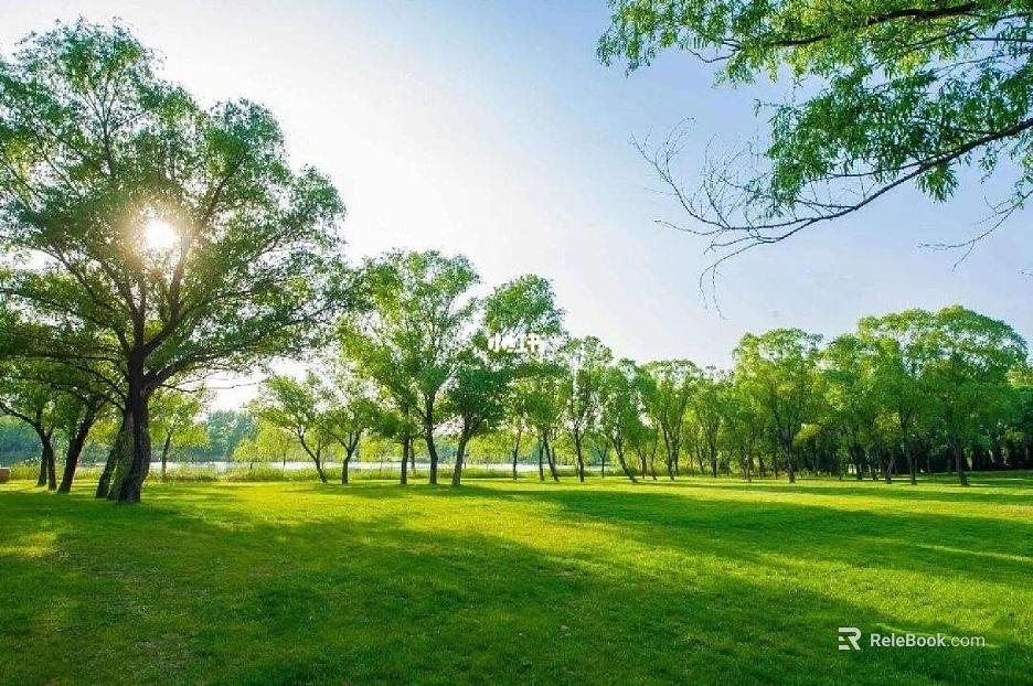 Wild Scenery texture