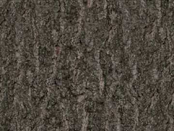 bark texture (ID:ffajg37095)
