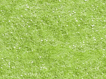 Grassland texture (ID:ffaag92585)