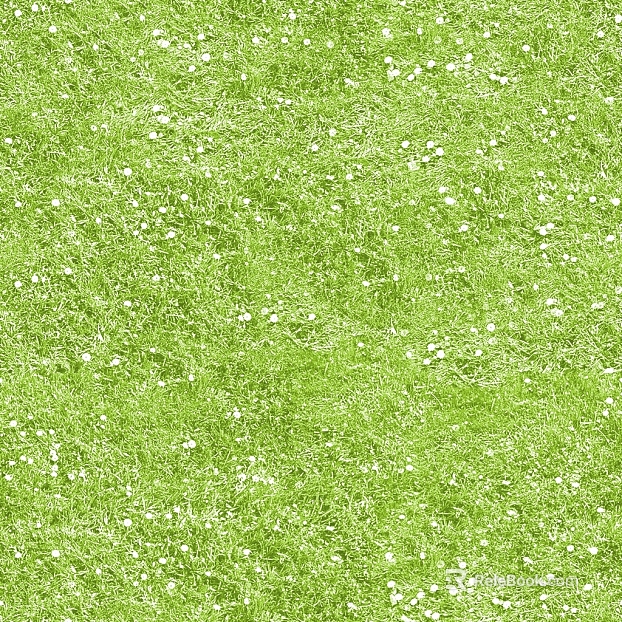 Grassland texture