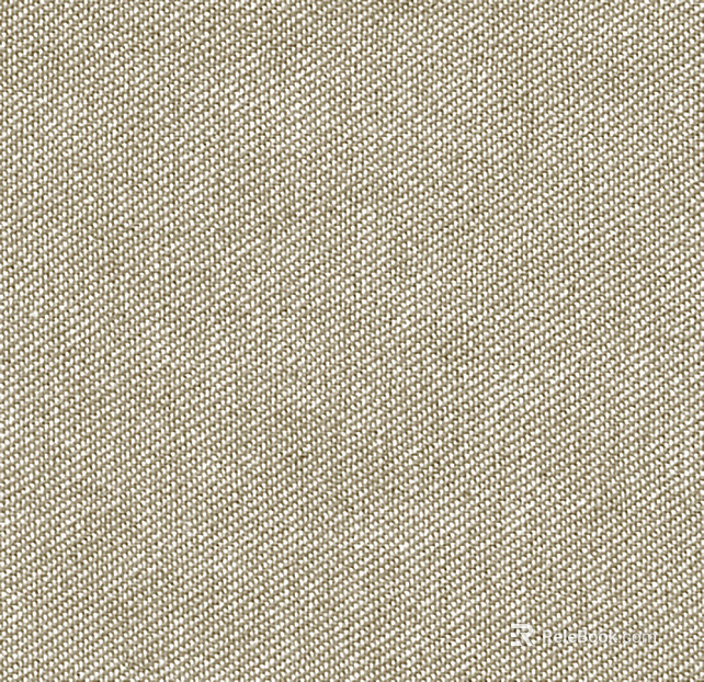 Modern light cloth texture