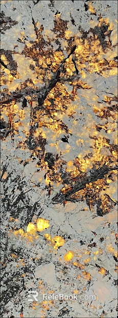 Golden Peacock Luxury Stone texture